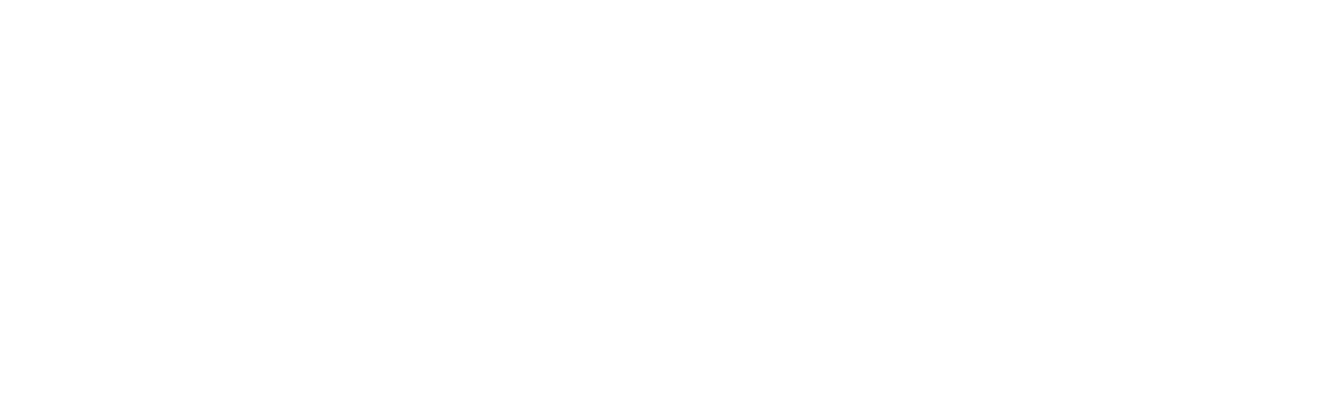 Camcare Insurance is a United Healthcare Agent - white logo